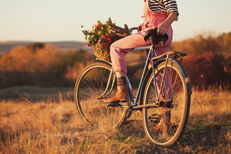 bicicletta