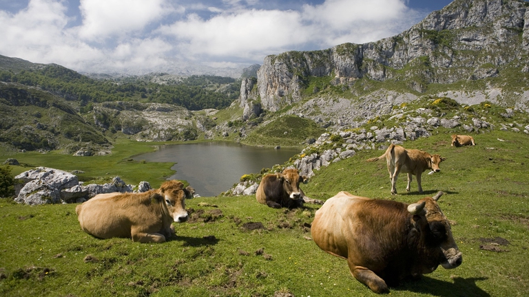 parchi nazionali spagna picos europa