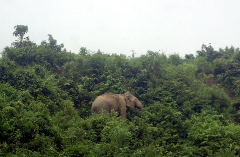 myanmar