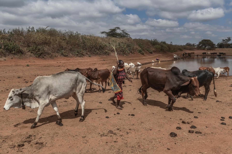 Kenya Africa siccità