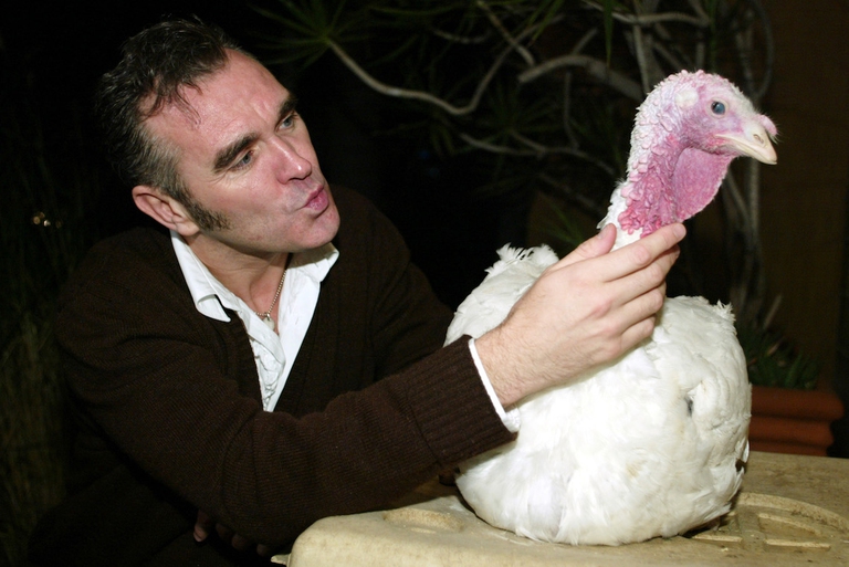 Morrissey immortalato con un tacchino.