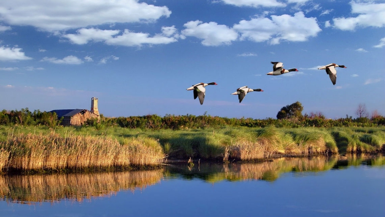 Foto di Daniele Soncin, fotoamatore locale che collabora da tempo con il Parco.