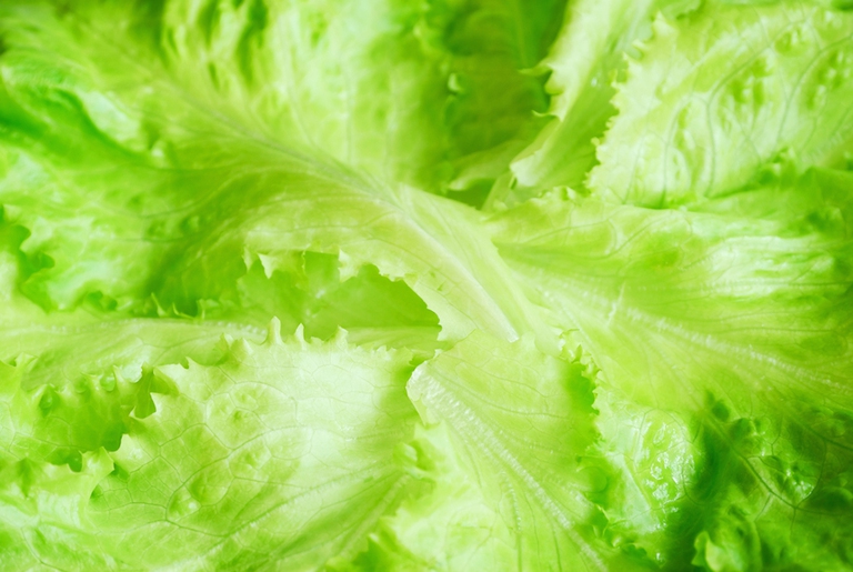 Agricoltura biodinamica, raddoppiate in 10 anni le aziende