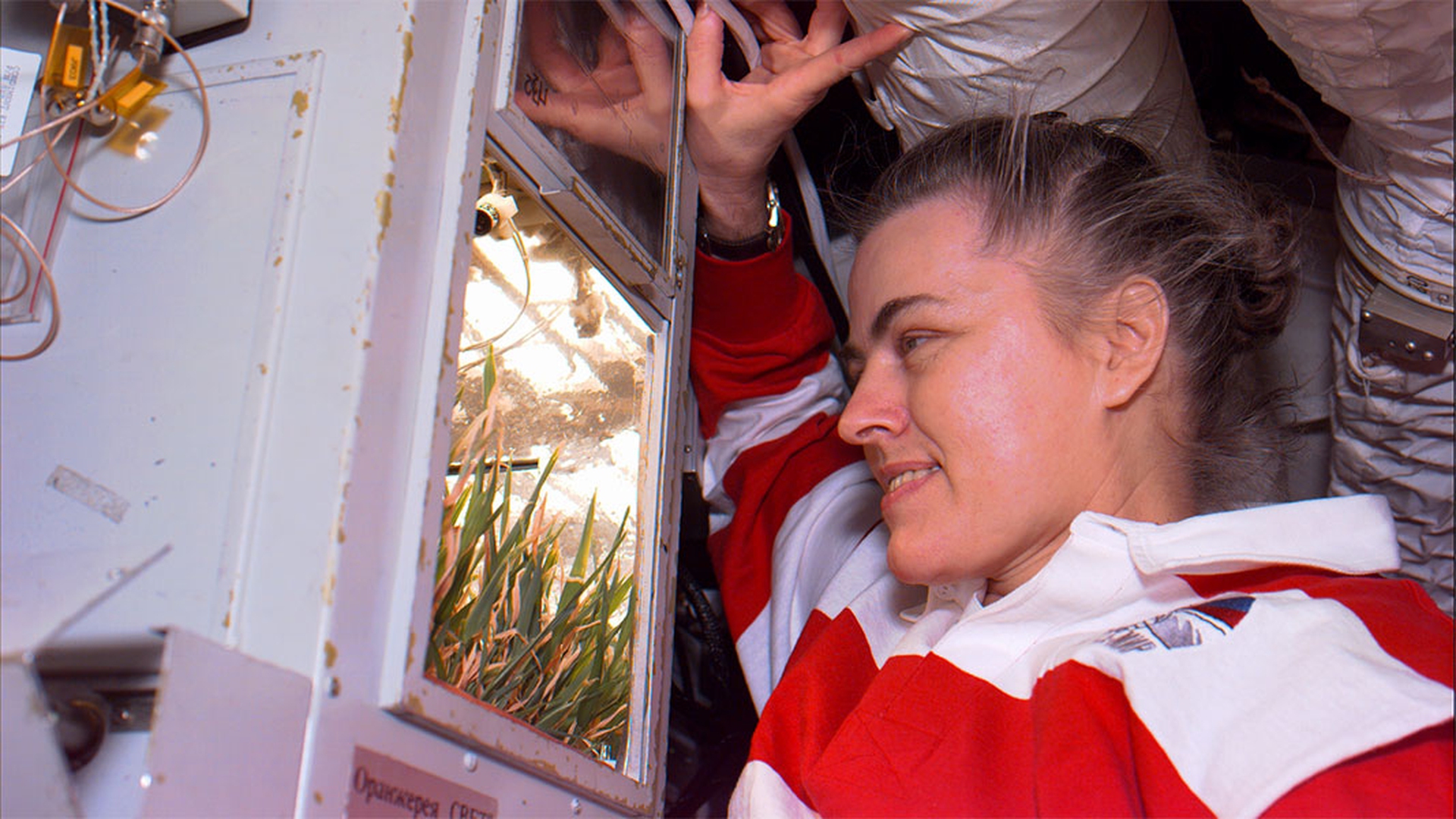 Cibo nello spazio. Dai cubetti dell'Apollo 13 ai legumi Slow Food di Samantha Cristoforetti