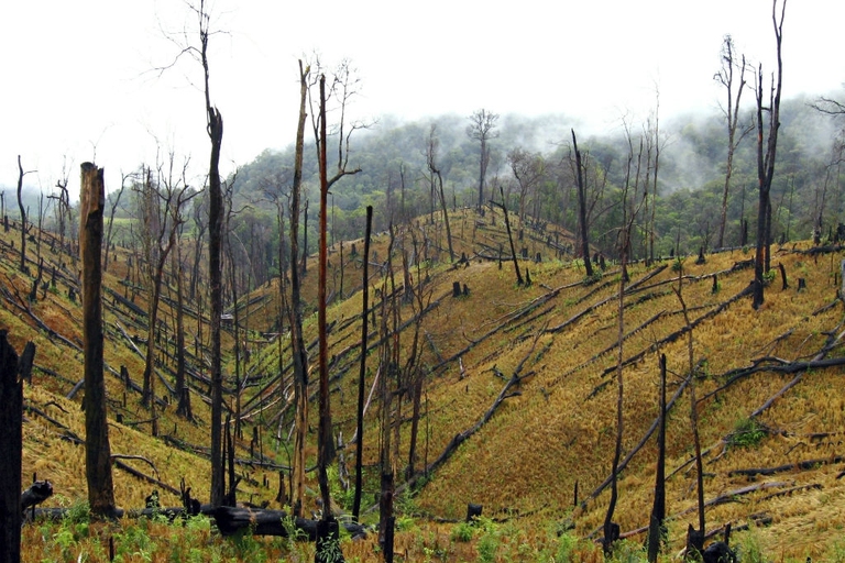 myanmar