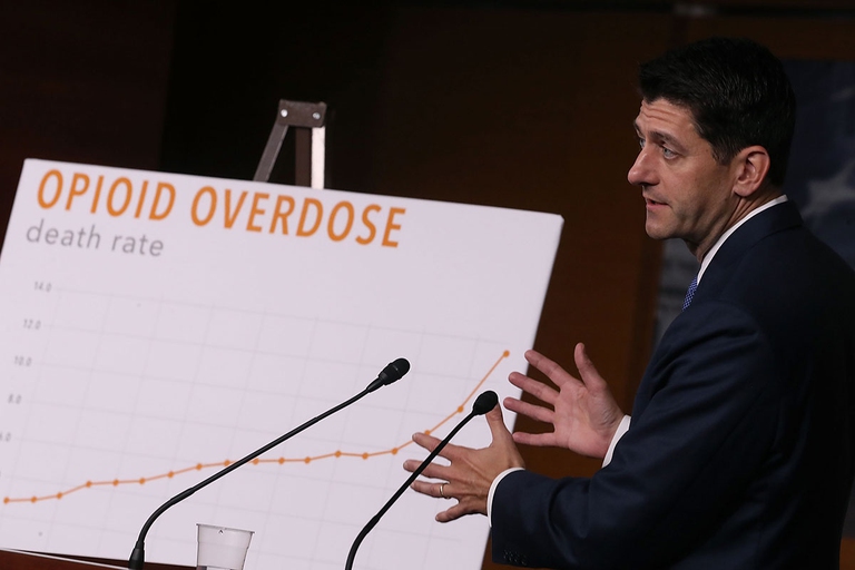 canapa cannabis marijuana