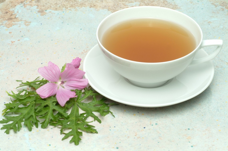 infuso malva