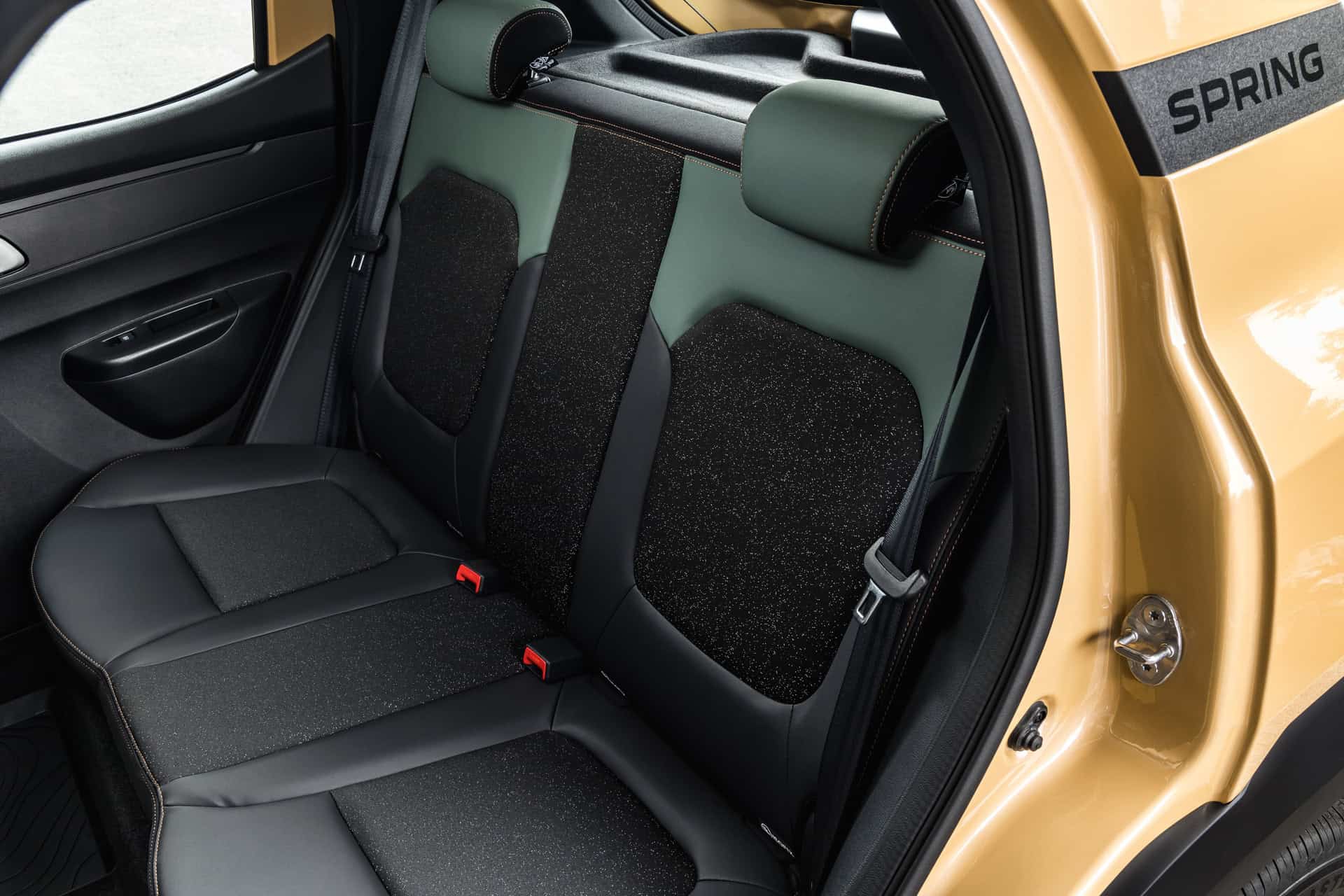 DaciaSpringSable-DetailCetadiPro (1)