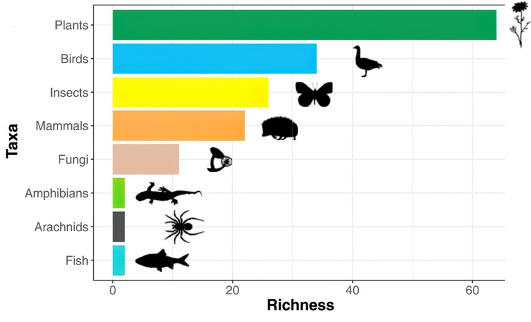 Comprendere la biodiversità con il Dna ambientale