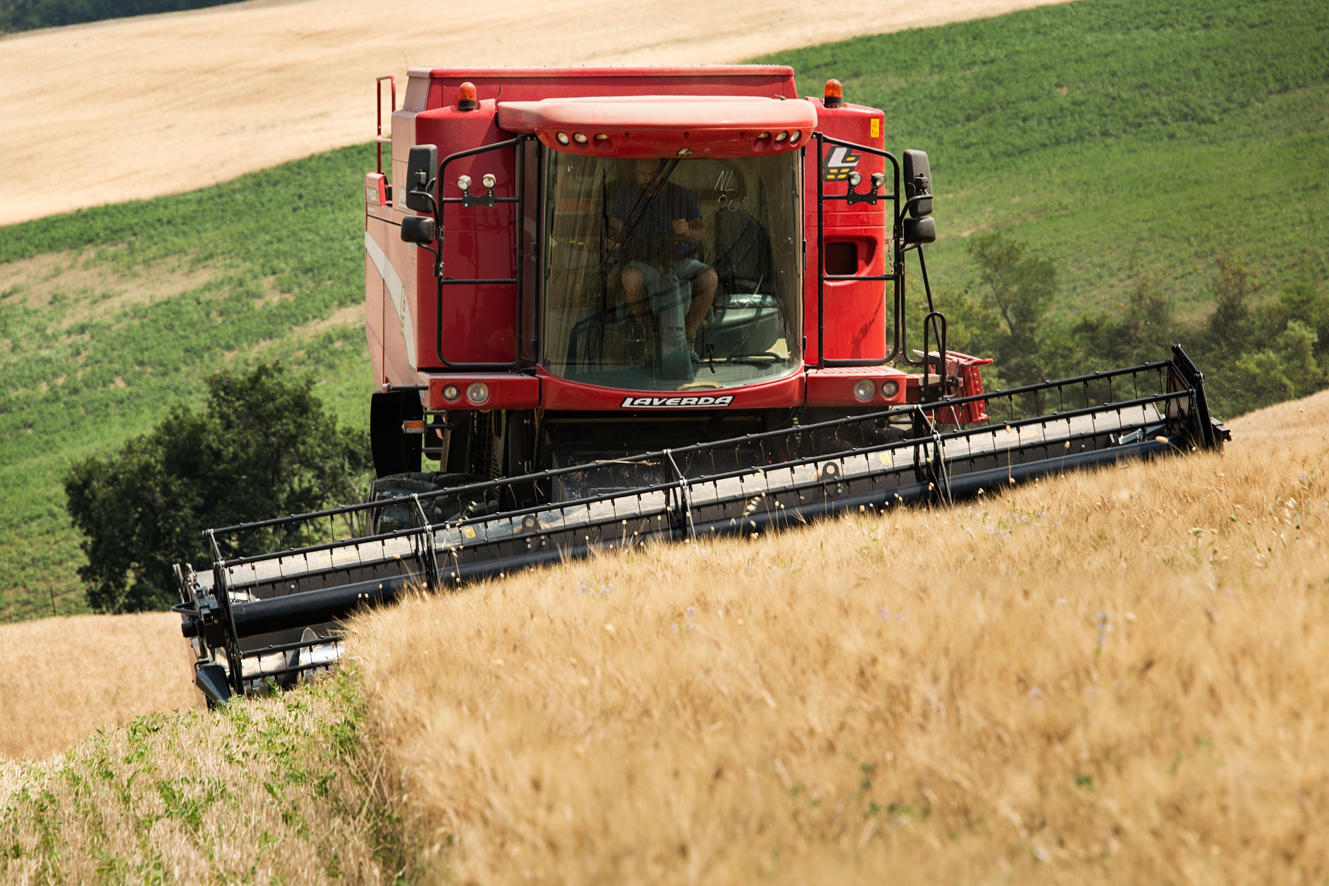Il biologico: la natura prima di tutto