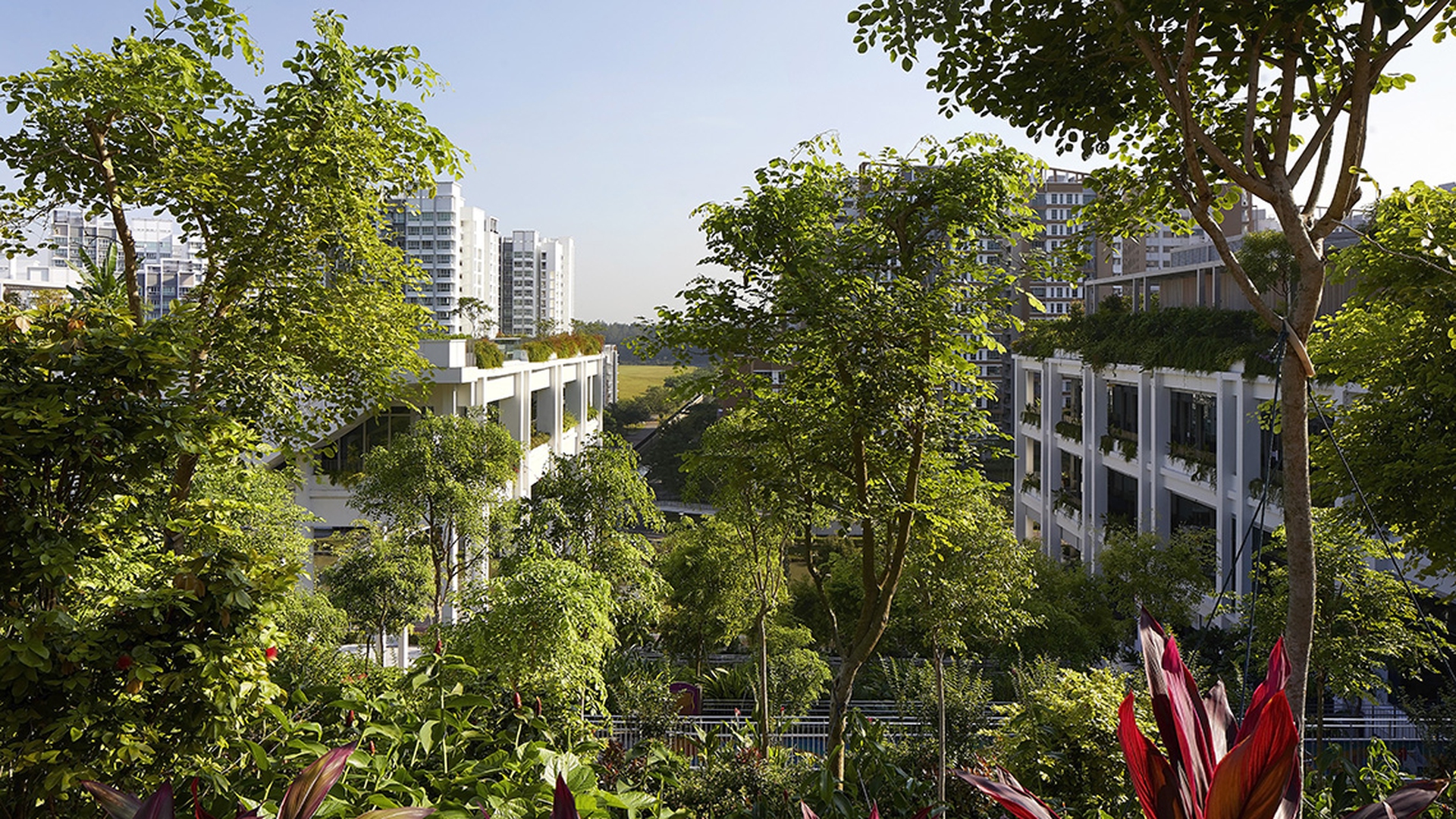 Vista da Oasis terraces