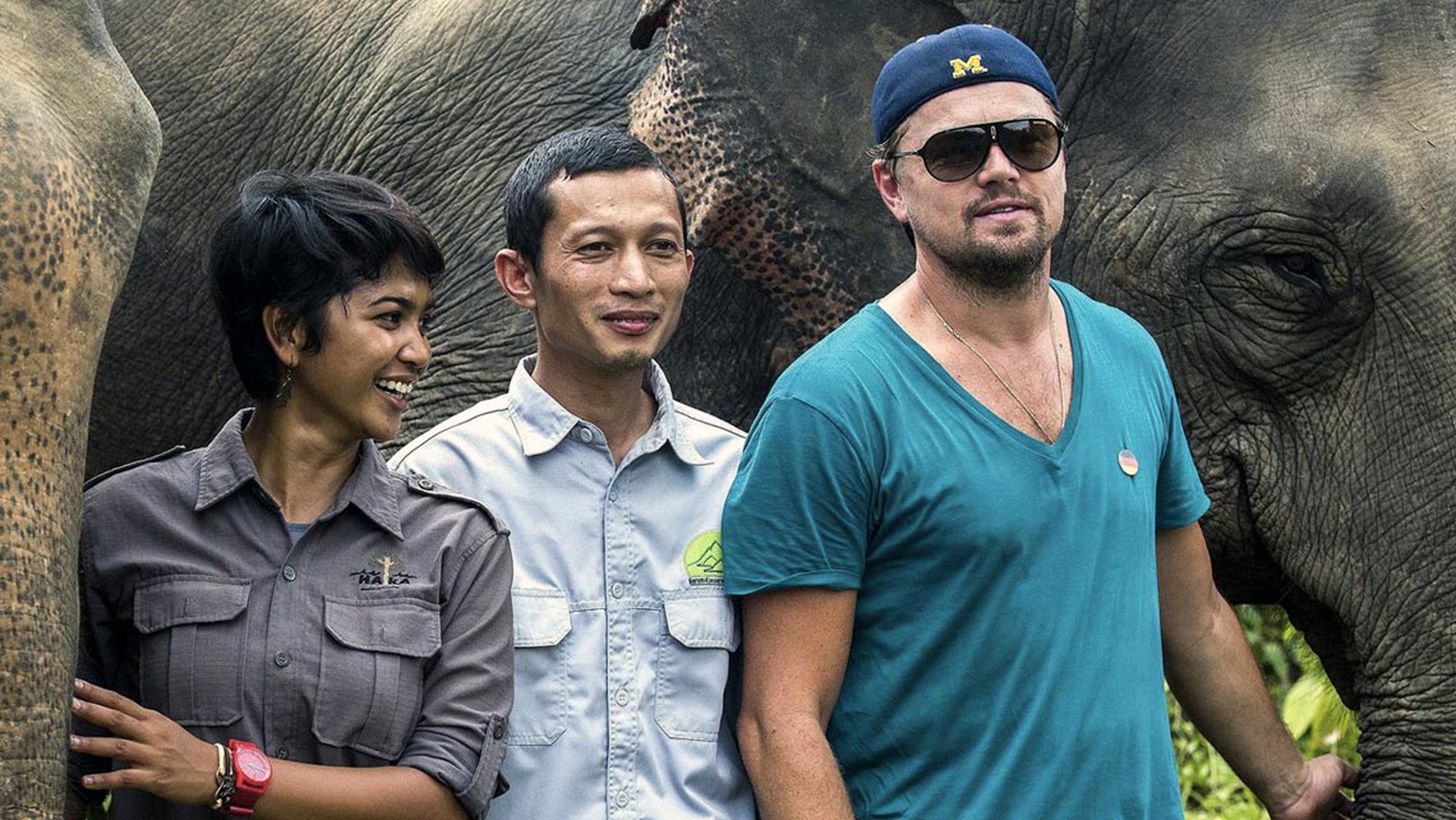 dicaprio-aprile-2016-elefanti-sumatra