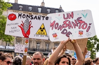 Glyphosate, the EU postpones again. No decision until the end of 2017