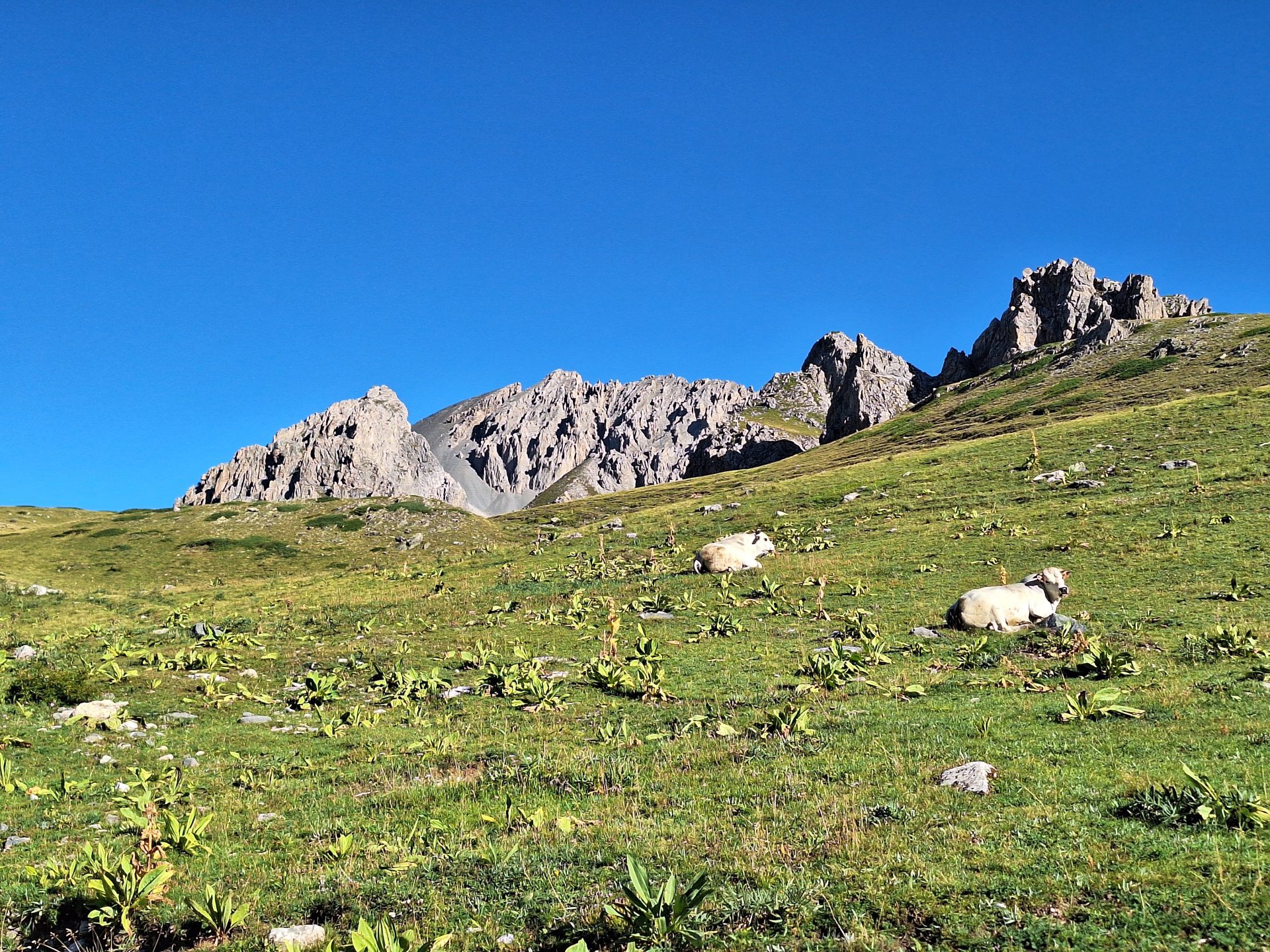 Altopiano della Gardetta