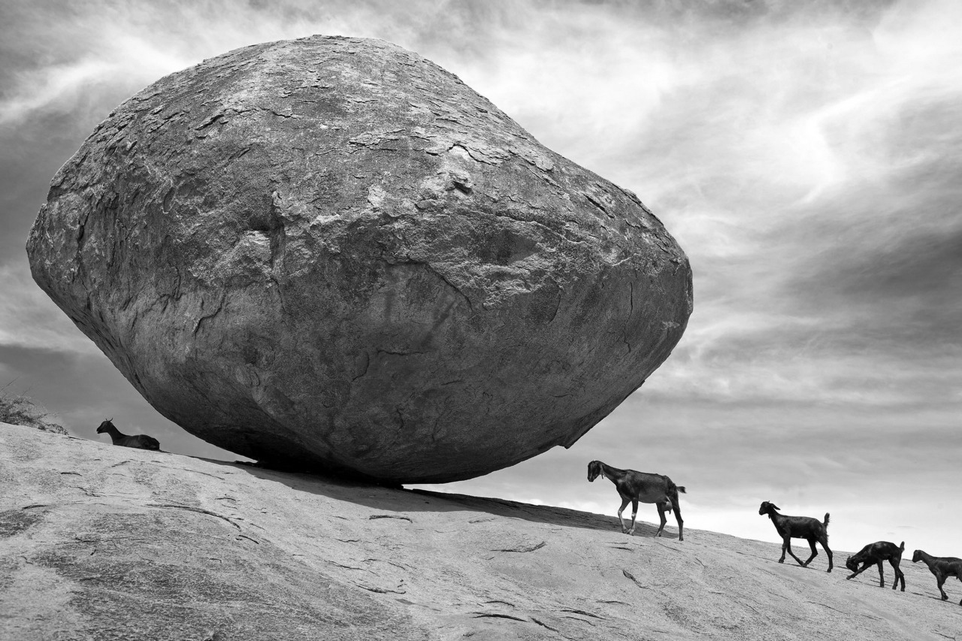 Andrea Micheli, Tullio Pericoli