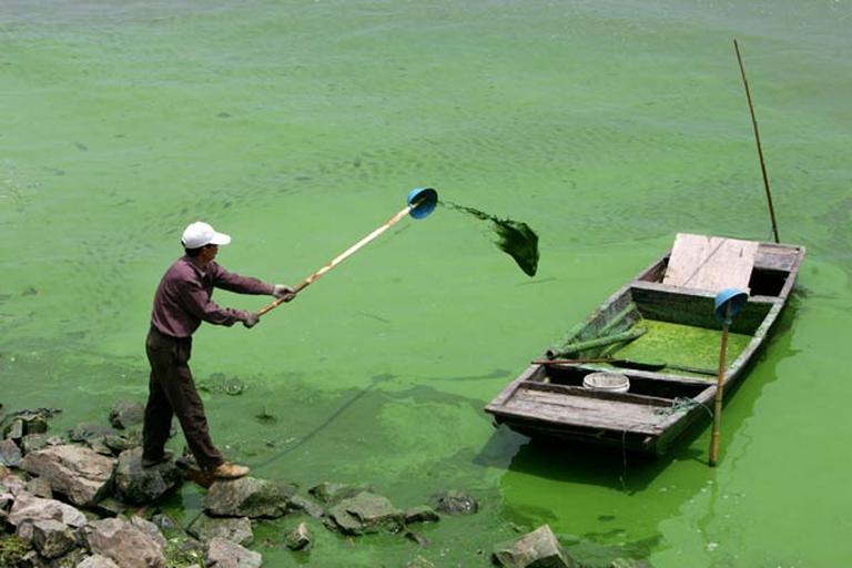 Quanto-inquinare-acqua-taihu-2