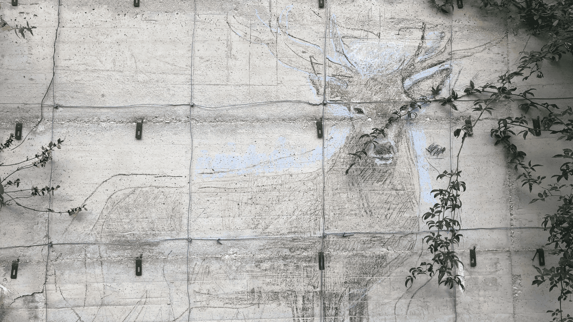 Disegno Pettorano sul Gizio