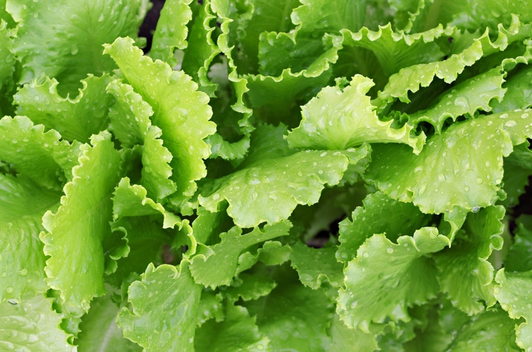 oli-essenziali-pulire-frutta-3