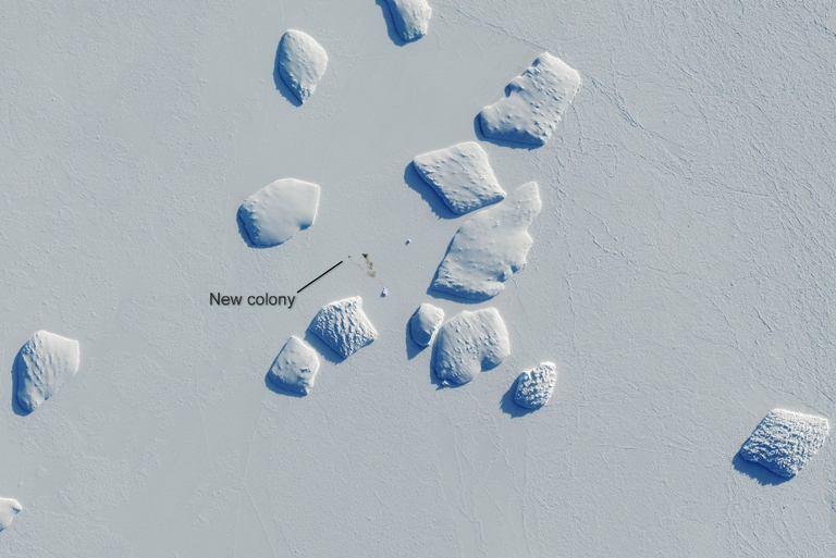 Immagine satellitare della colonia