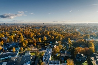 Tree city, Milano è tra le 59 città pioniere di foreste urbane premiate dalla Fao