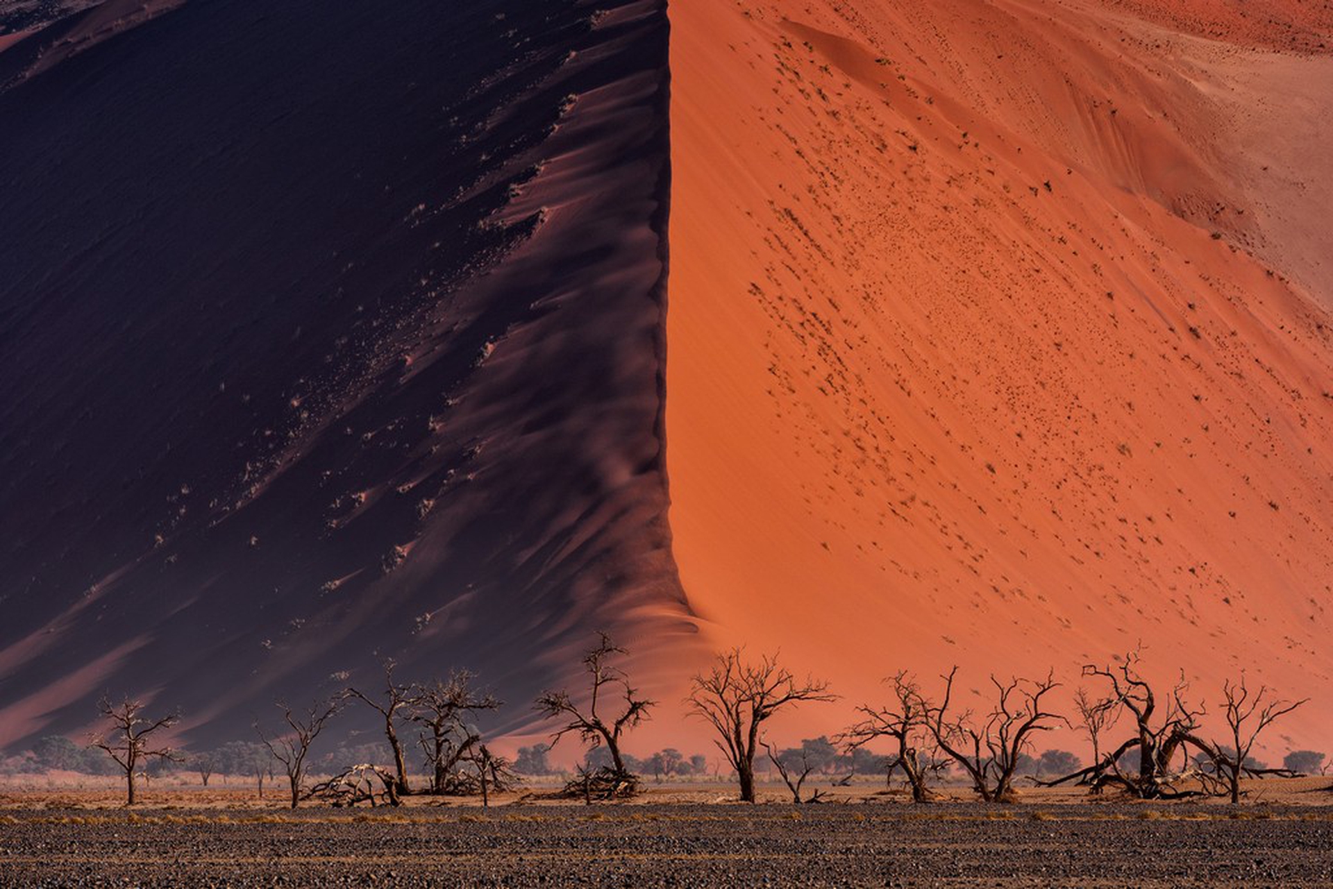 The great wall of Namib, Paranyu Pithayarungsarit – Sony World Photography Awards 2018