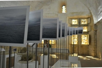 Les rencontres d’Arles, la fotografia internazionale in Provenza
