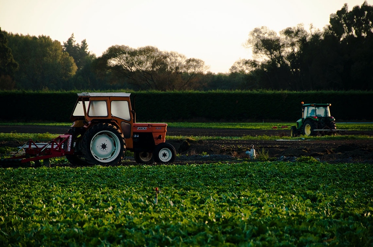 agricoltura sostenibile per la giornata mondiale della biodiversità