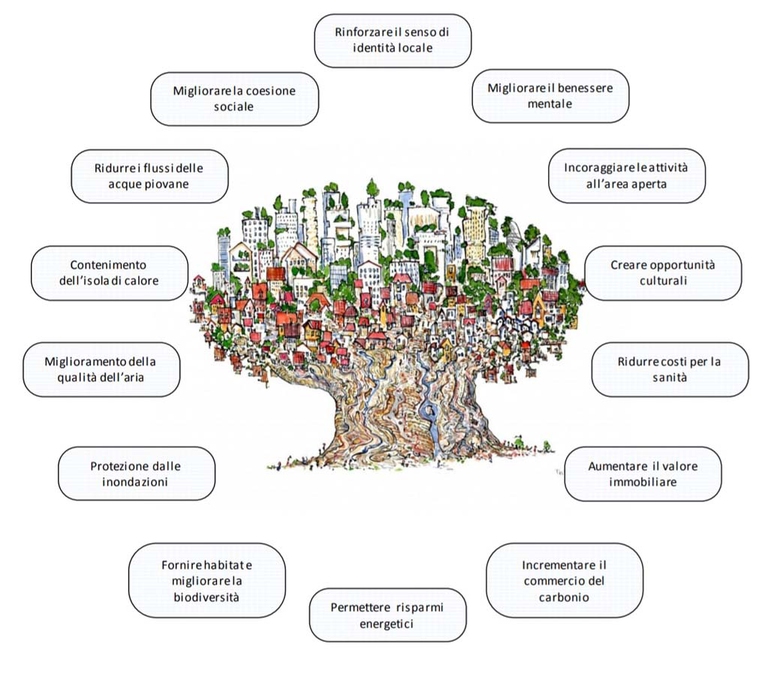 Benefici delle foreste urbane. Disegno tratto dalla Strategia Nazionale del Verde Urbano