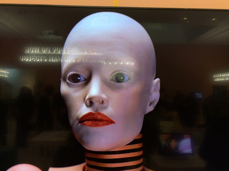 hello robot what happened