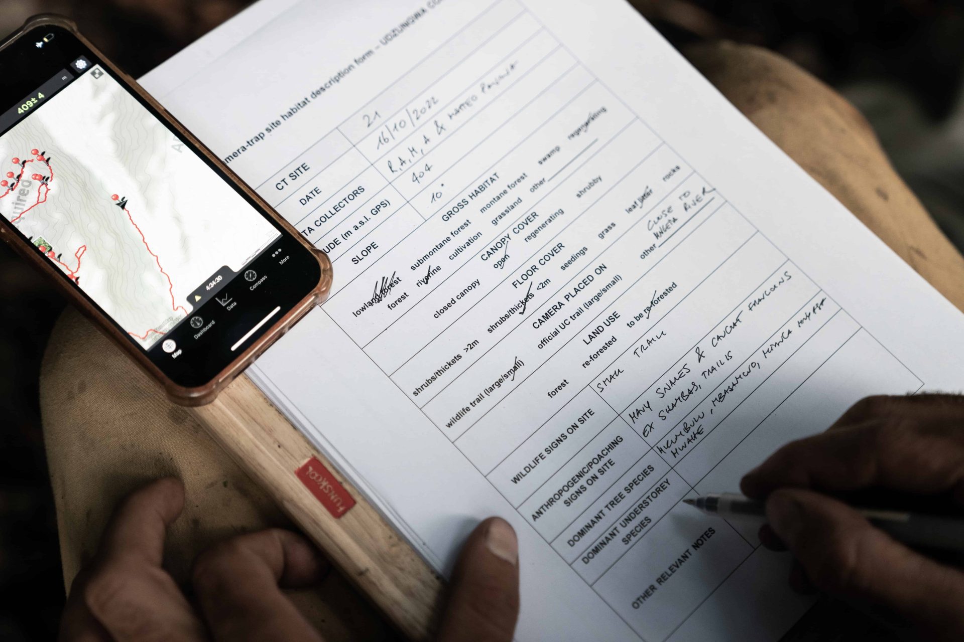 Il progetto di riforestazione Udzungwa corridor limited in Tanzania