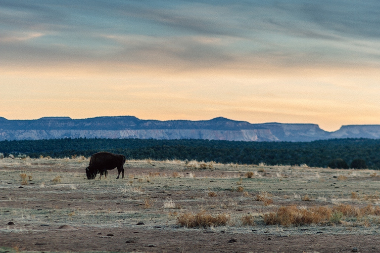 nativi americani Flagstaff