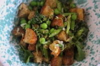 Panzanella croccante rivisitata, la ricetta senza pomodori
