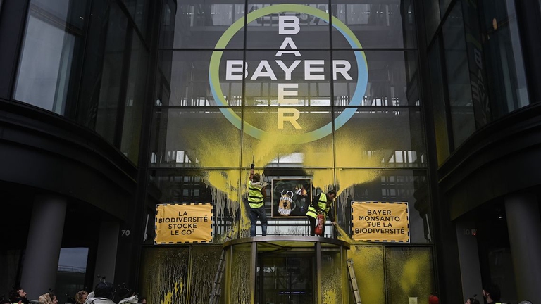 bayer glifosato pesticidi