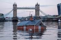 What 2020 taught us about the climate crisis