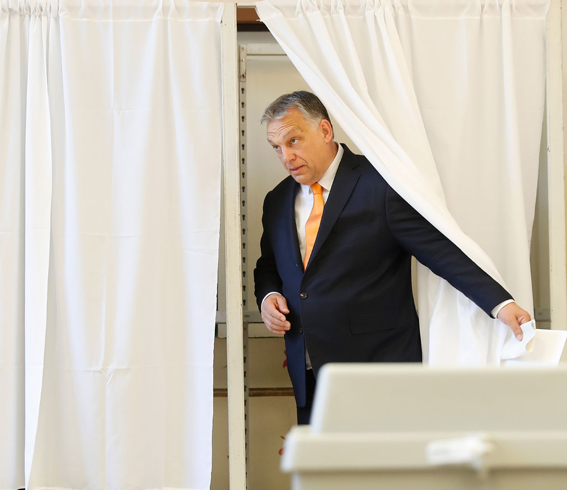 European elections 2019, the results of the vote for the European Parliament