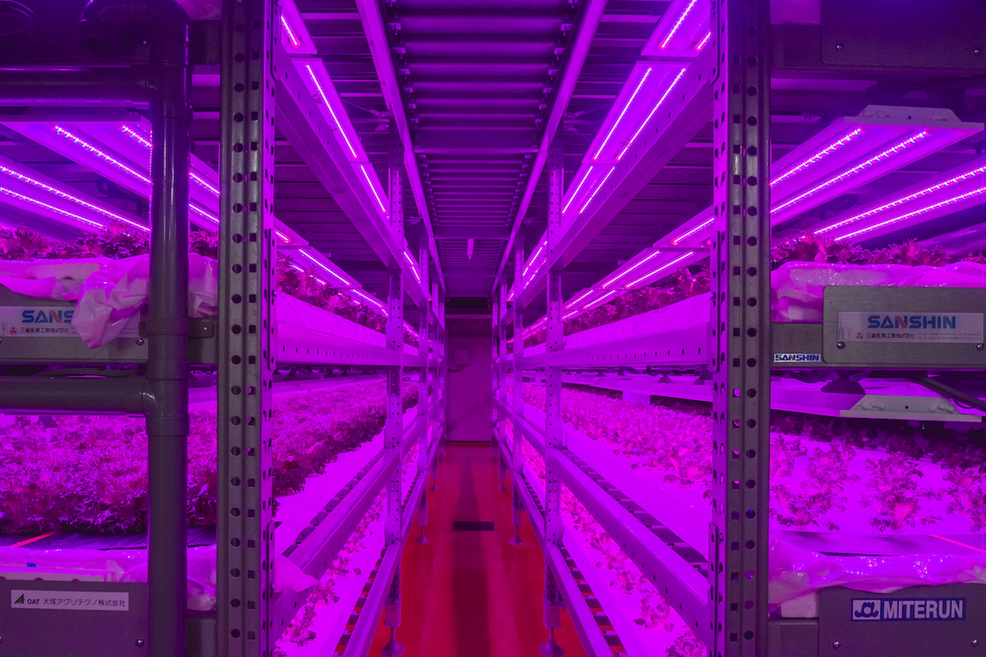 The people of Fukushima. A journey of renewal five years after the disaster