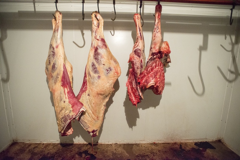 Animali a pezzi in un mattatoio