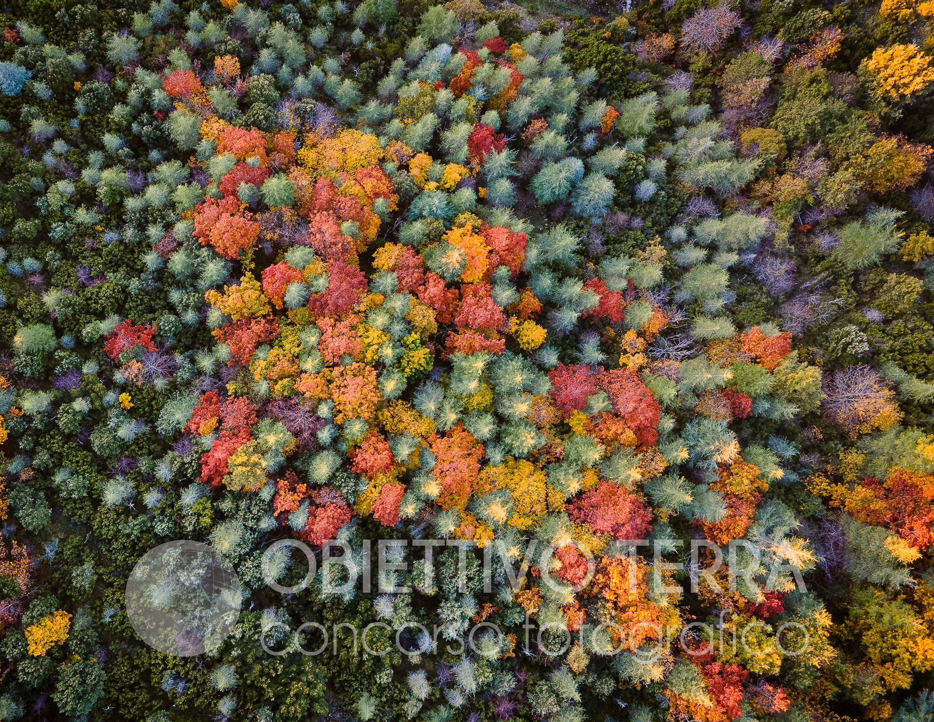 PEDRETTI (Parchi dal Cielo) Obiettivo terra 2021