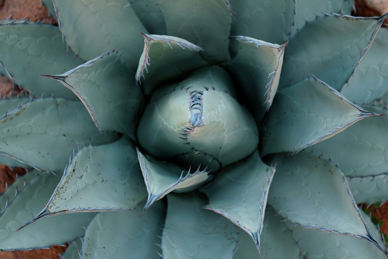 5529270979_6efbd152a7_z