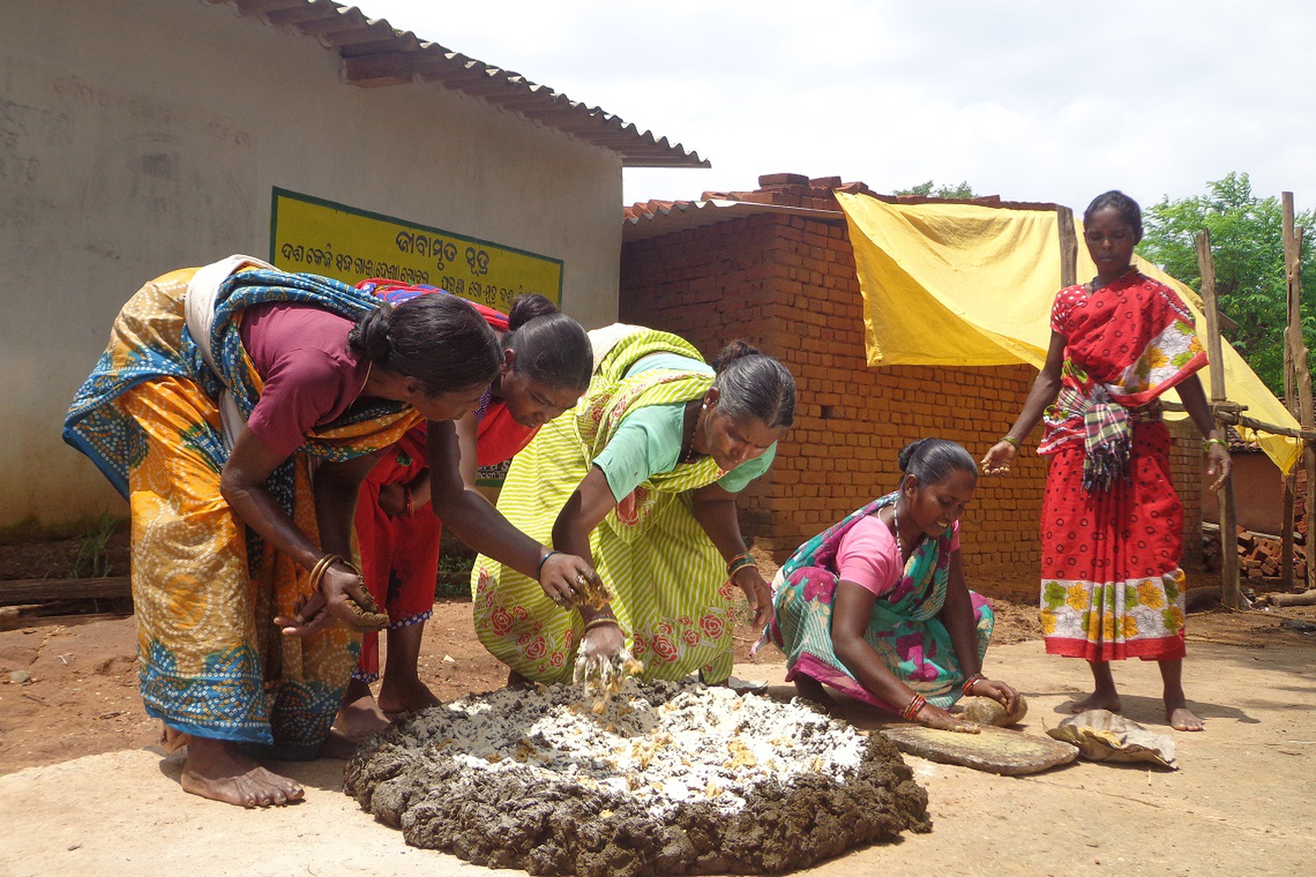 Organic farming is changing the lives of tribal peoples in ...