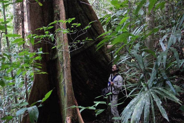 Fragments of extiction: David Monacchi registra i suoni della natura.
