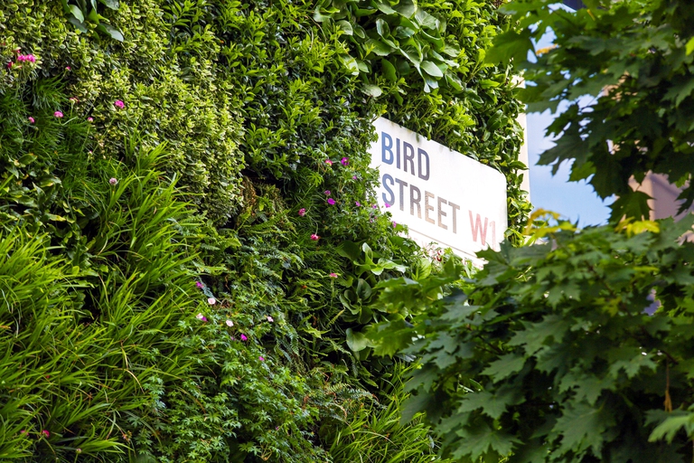 Bird Street
