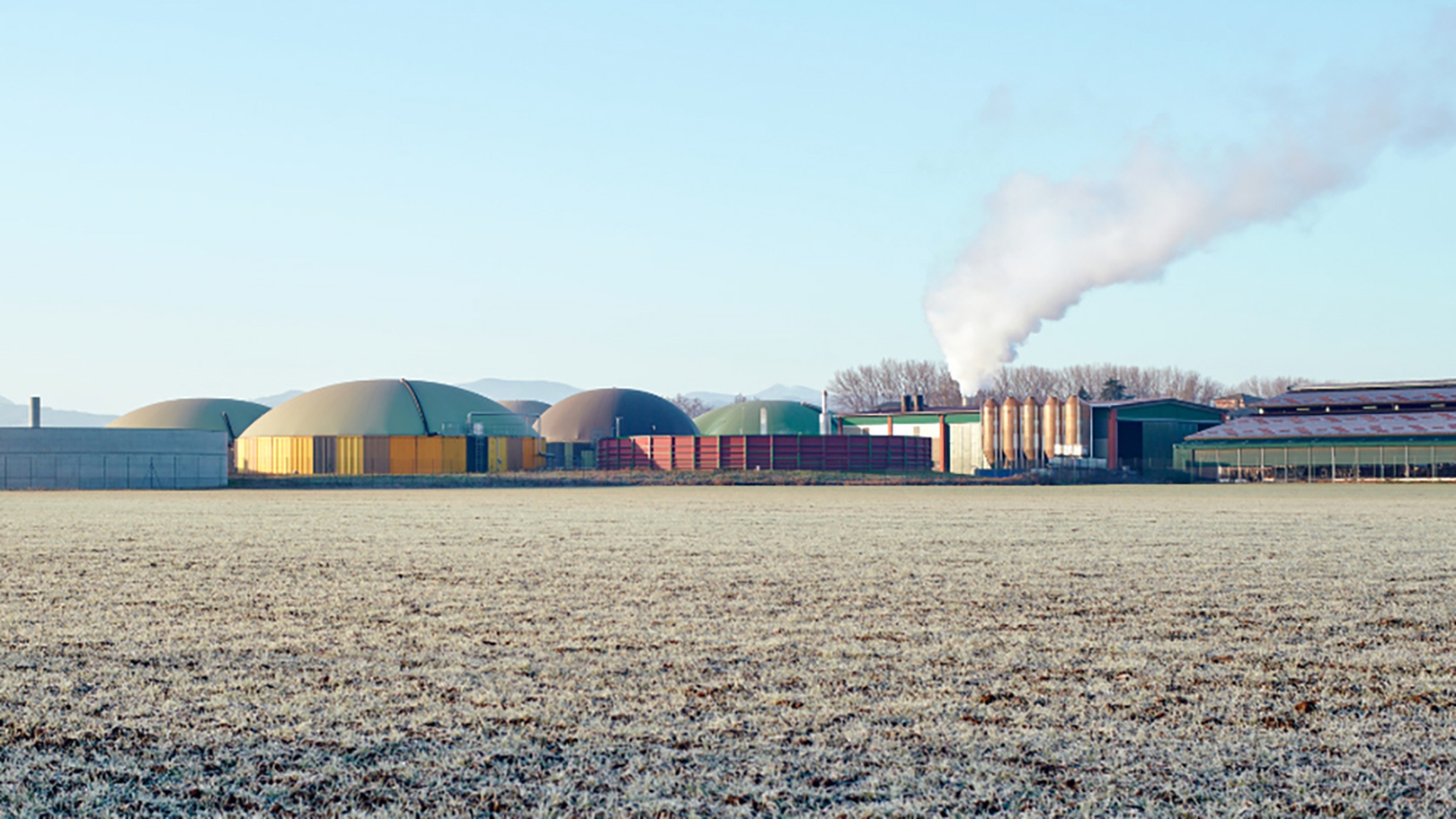 Le foto del Museo della merda