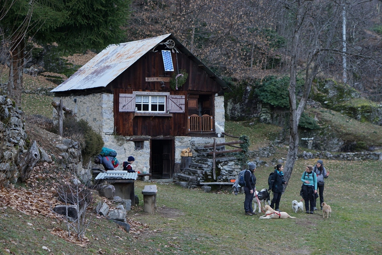 cani in montagna