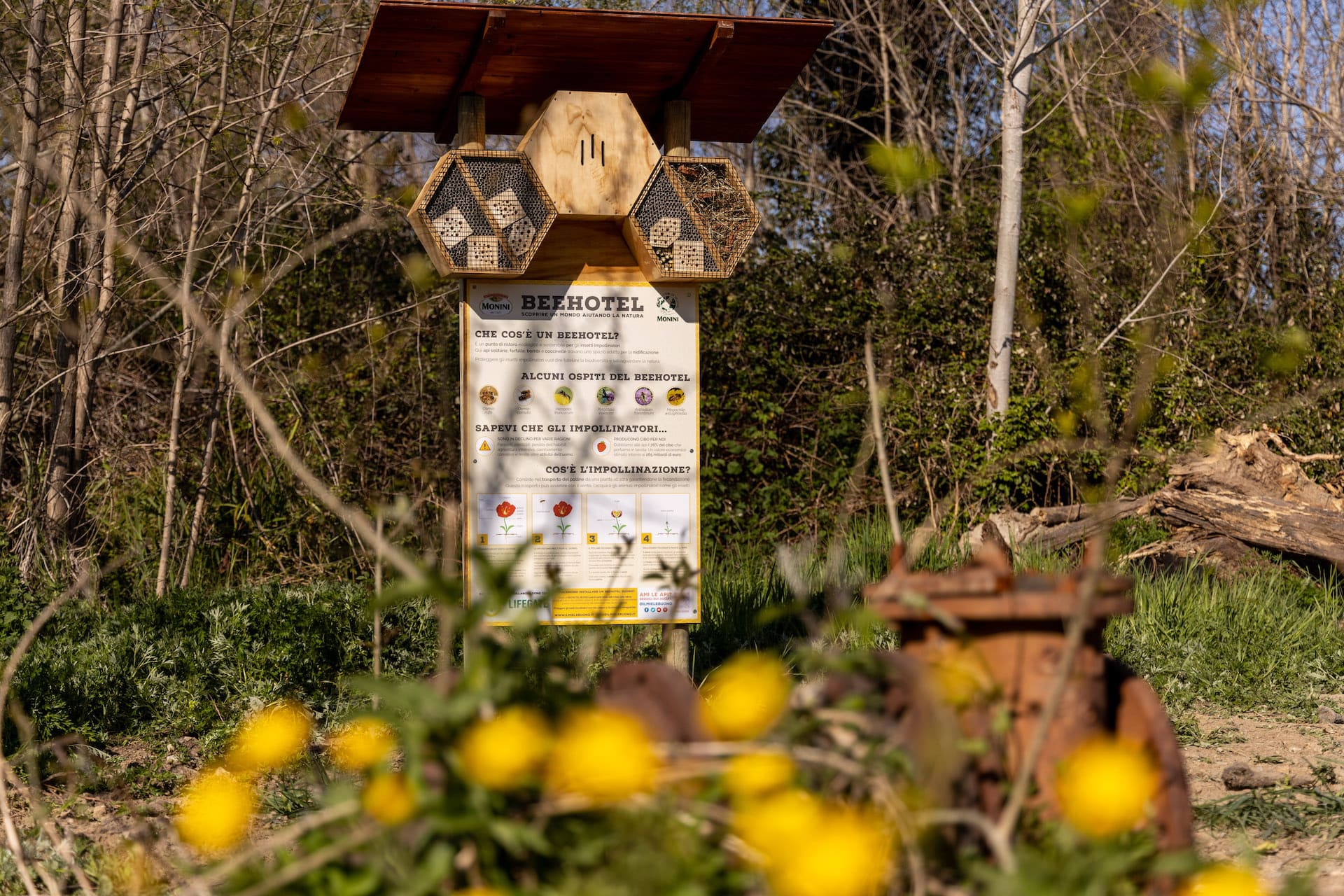 Ricerca Bosco Monini9