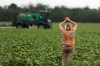 Glifosato, maxi-condanna per la Bayer: 1,5 miliardi di dollari a tre agricoltori