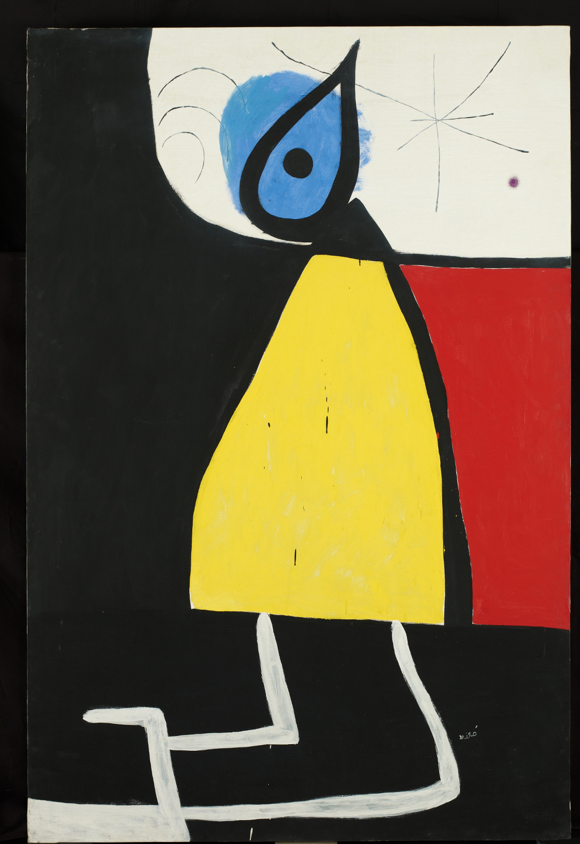 Mirò donna nella notte