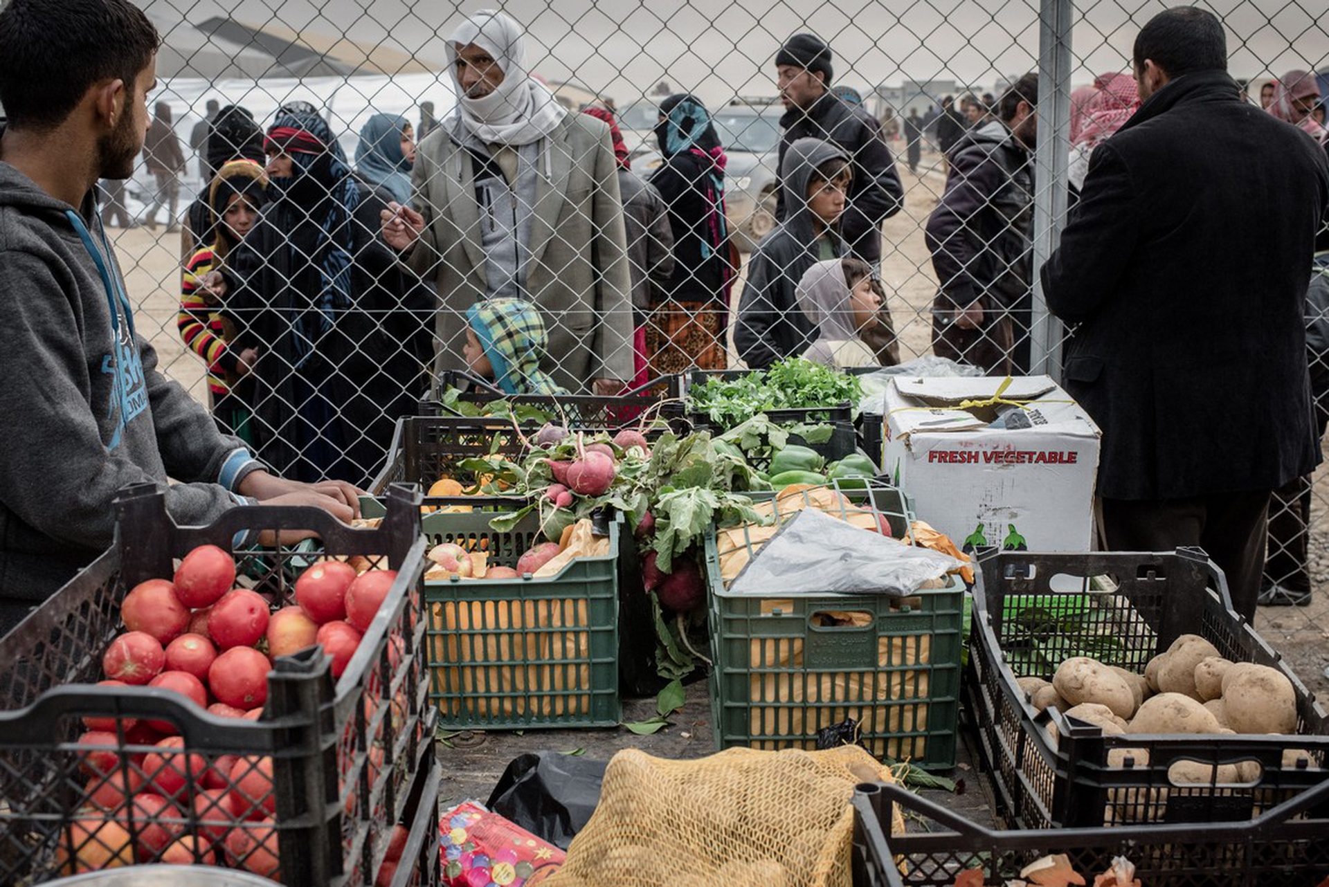 Giornata mondiale dell'alimentazione 2018, Fao