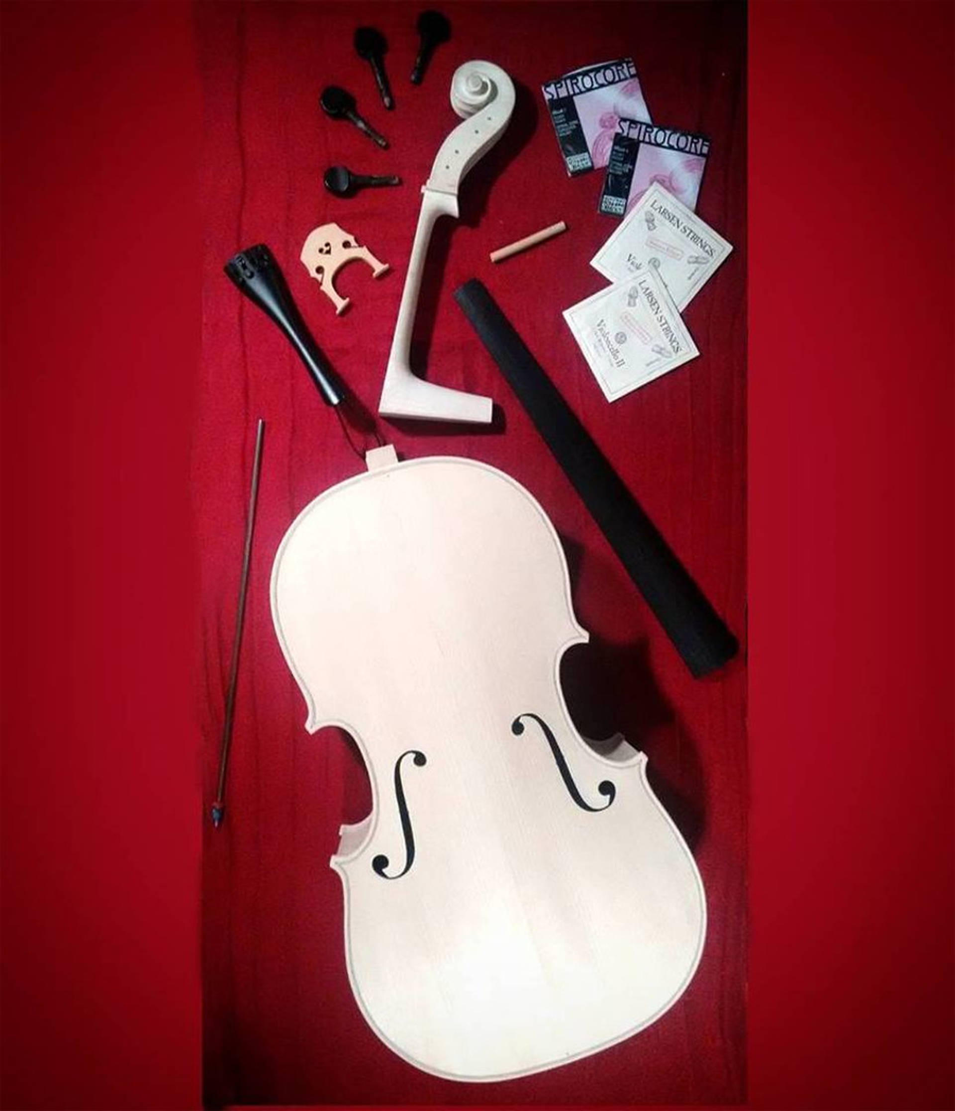 Le parti del violoncello autocostruito da Ida