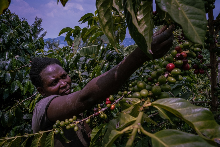 Rose Biruta e lago Kivu